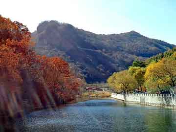 澳彩资料免费长期公开，小鸭圣吉奥抽油烟机